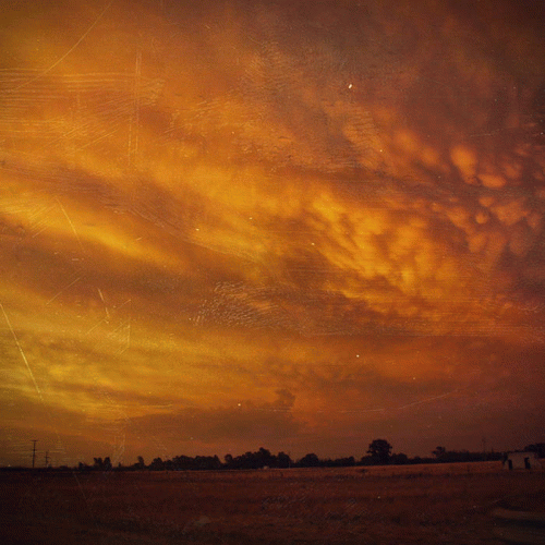 Blien Vesne : Jaunas Zivis